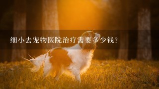 细小去宠物医院治疗需要多少钱？