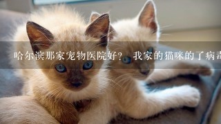 哈尔滨那家宠物医院好？ 我家的猫咪的了病毒性肠炎 打针大概需要多少钱？