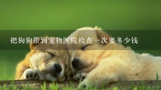 把狗狗带到宠物医院检查1次要多少钱