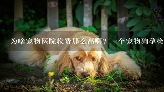 为啥宠物医院收费那么高啊？1个宠物狗孕检B超要400