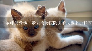 猫咪腿受伤，带去宠物医院去看大概多少钱啊？？其具