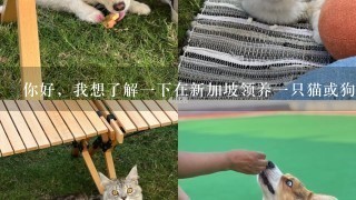 你好，我想了解一下在新加坡领养一只猫或狗需要准备什么？