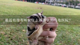 最近有没有听说什么新开张的乌龟医院？