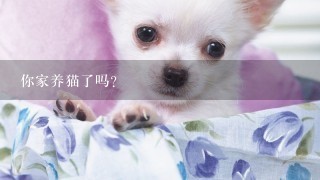 你家养猫了吗？