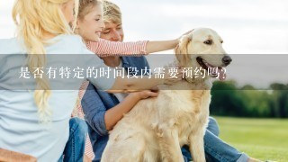 是否有特定的时间段内需要预约吗？