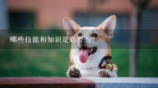 哪些技能和知识是必要的？