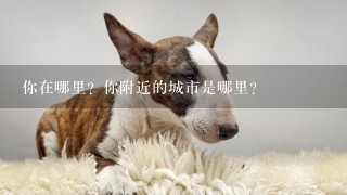 你在哪里？你附近的城市是哪里？