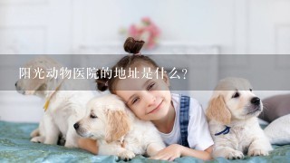 阳光动物医院的地址是什么？