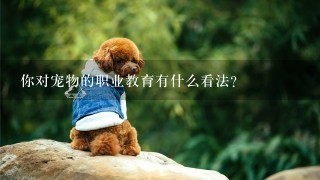 你对宠物的职业教育有什么看法？