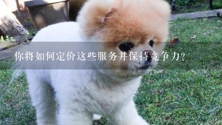 你将如何定价这些服务并保持竞争力？