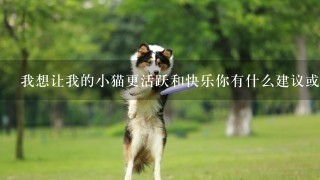 我想让我的小猫更活跃和快乐你有什么建议或技巧可以帮助她更快乐地生活吗？