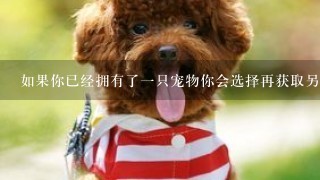 如果你已经拥有了一只宠物你会选择再获取另一只吗？为什么？