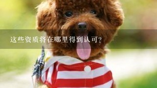 这些资质将在哪里得到认可？