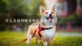 什么是前列腺炎和如何治疗它？