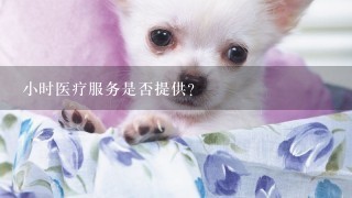 小时医疗服务是否提供？