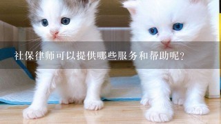 社保律师可以提供哪些服务和帮助呢？