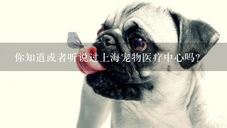 你知道或者听说过上海宠物医疗中心吗
