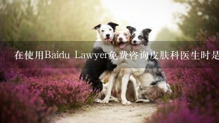 在使用Baidu