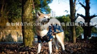 你如何在PetCoach上发布宣传页以吸引更多的客户到你的宠物医院里就诊呢