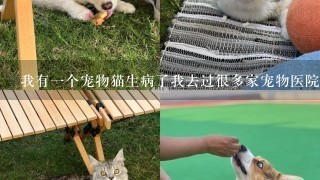 我有一个宠物猫生病了我去过很多家宠物医院看病但是每家都只对一种疾病进行治疗而我听说你可以治疗多种疾病呢