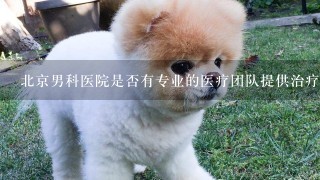 北京男科医院是否有专业的医疗团队提供治疗