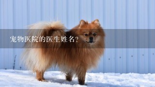 宠物医院的医生姓名?