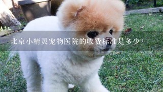 北京小精灵宠物医院的收费标准是多少?