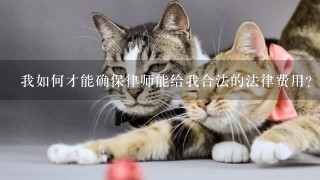 我如何才能确保律师能给我合法的法律费用?