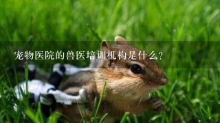 宠物医院的兽医培训机构是什么?