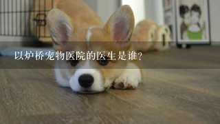 以炉桥宠物医院的医生是谁?