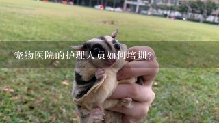 宠物医院的护理人员如何培训?