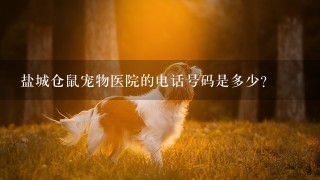 盐城仓鼠宠物医院的电话号码是多少?