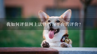 我如何评估网上法律咨询平台的评价?