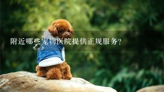 附近哪些宠物医院提供正规服务?