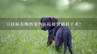 以桂林有哪些宠物医院提供猫科手术?