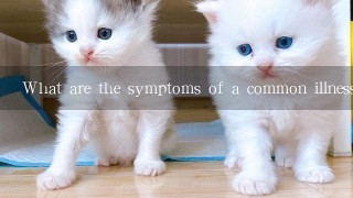 What are the symptoms of a common illness in cats?