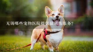 无锡哪些宠物医院提供猫训练服务?