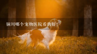 铜川哪个宠物医院看的好?