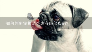 如何判断宠物是否患有眼部疾病?